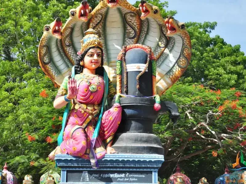 Pettai Amman Temple