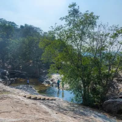 Jawadhu Hills: A Scenic Hill Station in Tamil Nadu