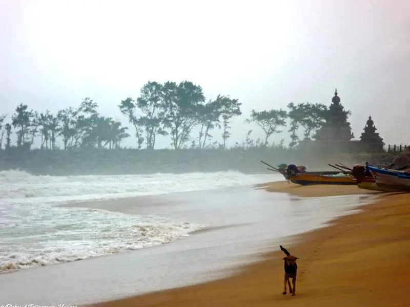 Mahabalipuram Beach
