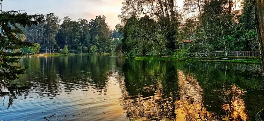 Short Trip to Honeymoon in Kodaikanal - Short Trip to Honeymoon in Kodaikanal