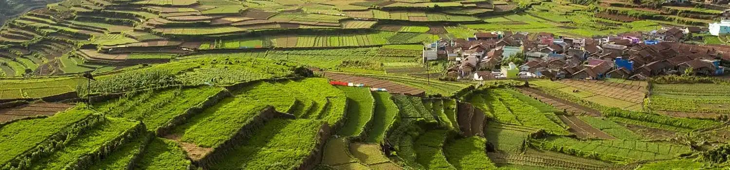 Tamilnadu Holidays Tour
