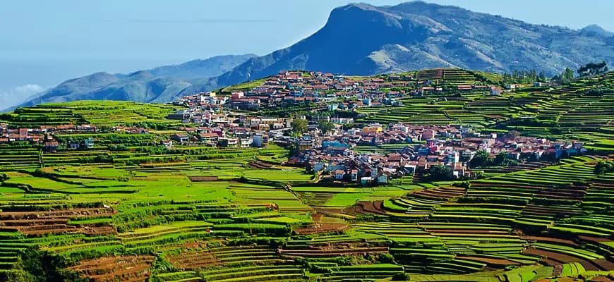 Honeymoon Tour Packages - Tour to Kodaikanal