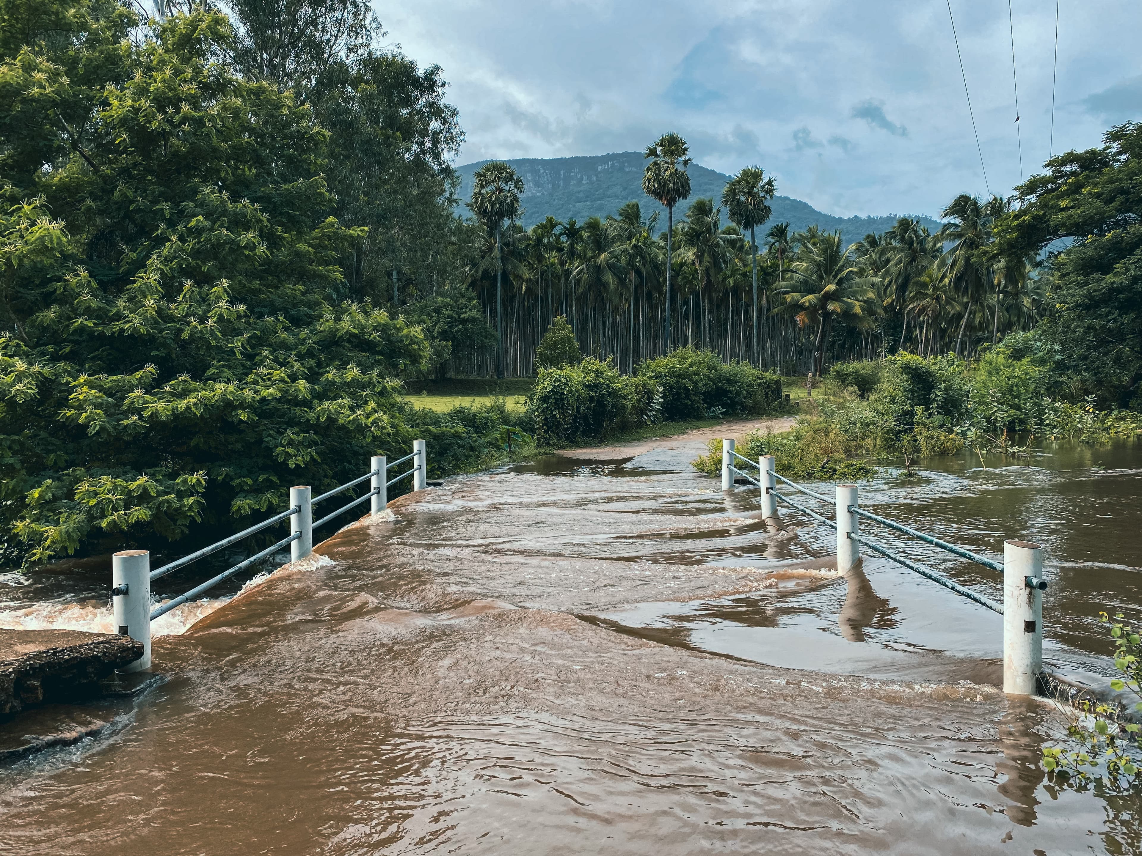 Udumalaipettai