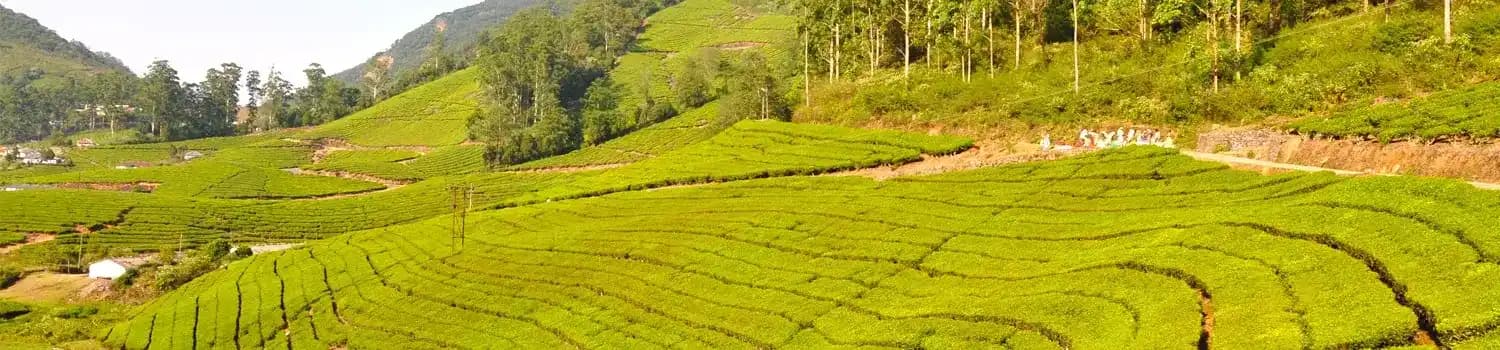 Theni tourism