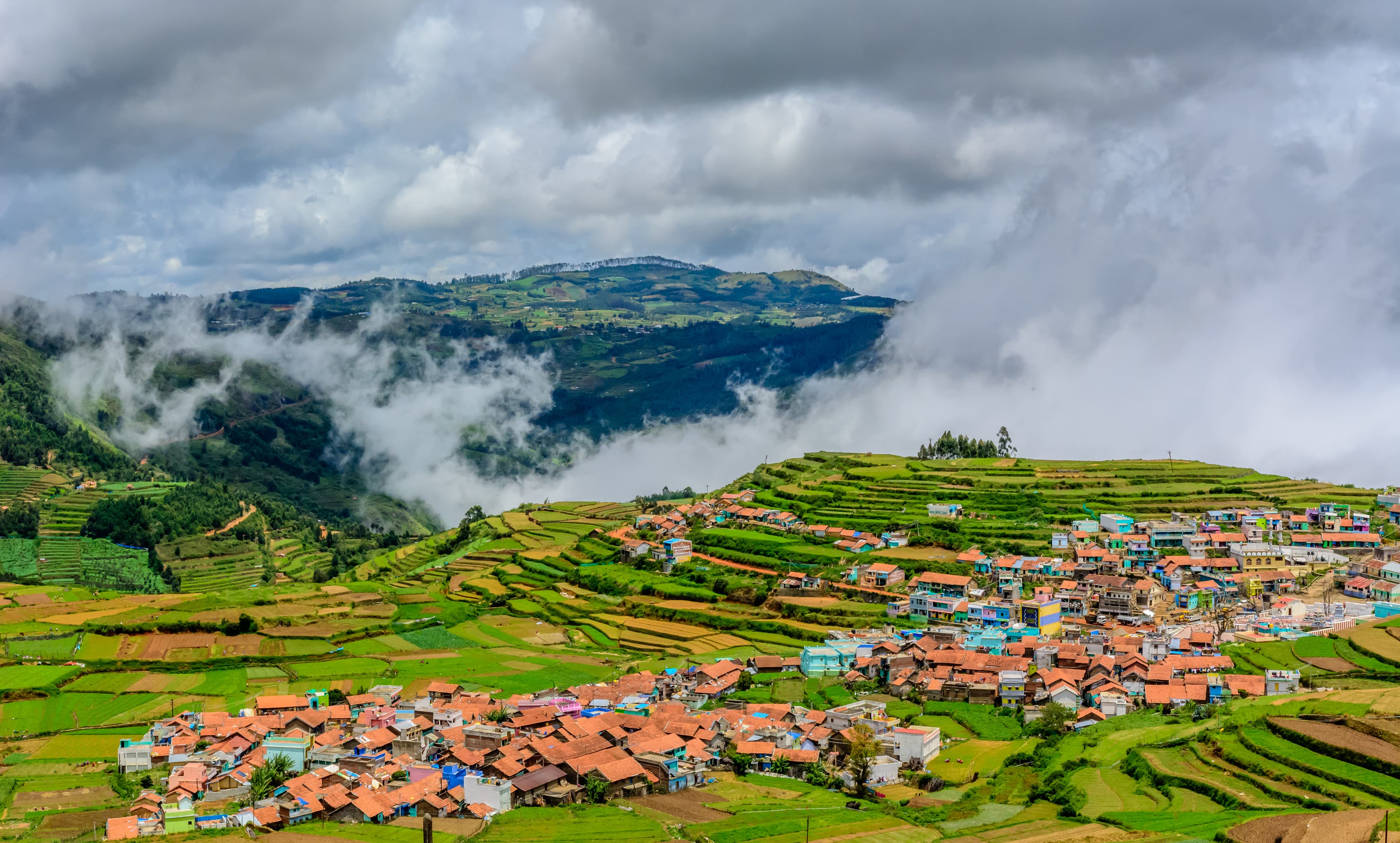 Ooty tea estates and Nilgiri hills in Tamil Nadu
