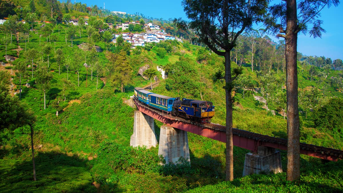 Tamil Nadu Hill Station Tour Packages