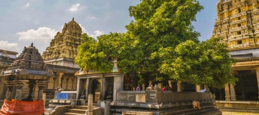7 must visit temples in Kanchipuram | Tamilnadu Tourism