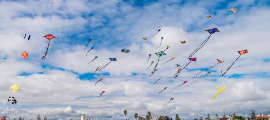 Tamil Nadu International Kite Festival | Tamilnadu Tourism
