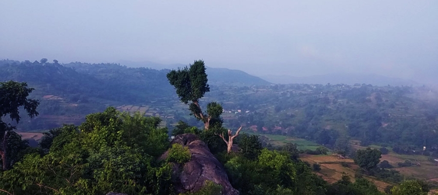 Best Hill Stations To Visit In Tamil Nadu During Summer | Tamilnadu Tourism