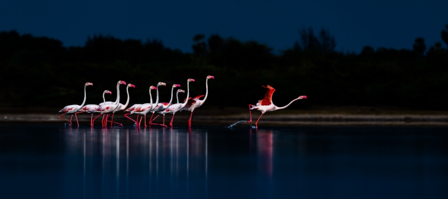 Secret Off-Beat Places To Explore In Tamil Nadu | Tamilnadu Tourism